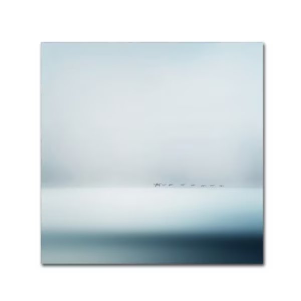Piet Flour 'Wild Geese' Canvas Art, 35x35, Trademark Fine Art, Mfr#: 1X01714-C3535GG